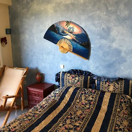 Kallipateira *