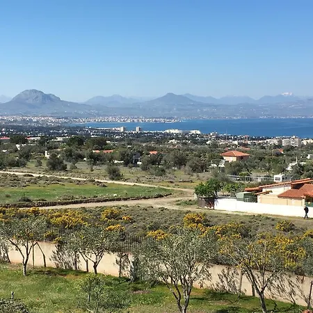 Kallipateira